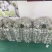 威海青皮无花果大量供应欢迎老板洽谈合作