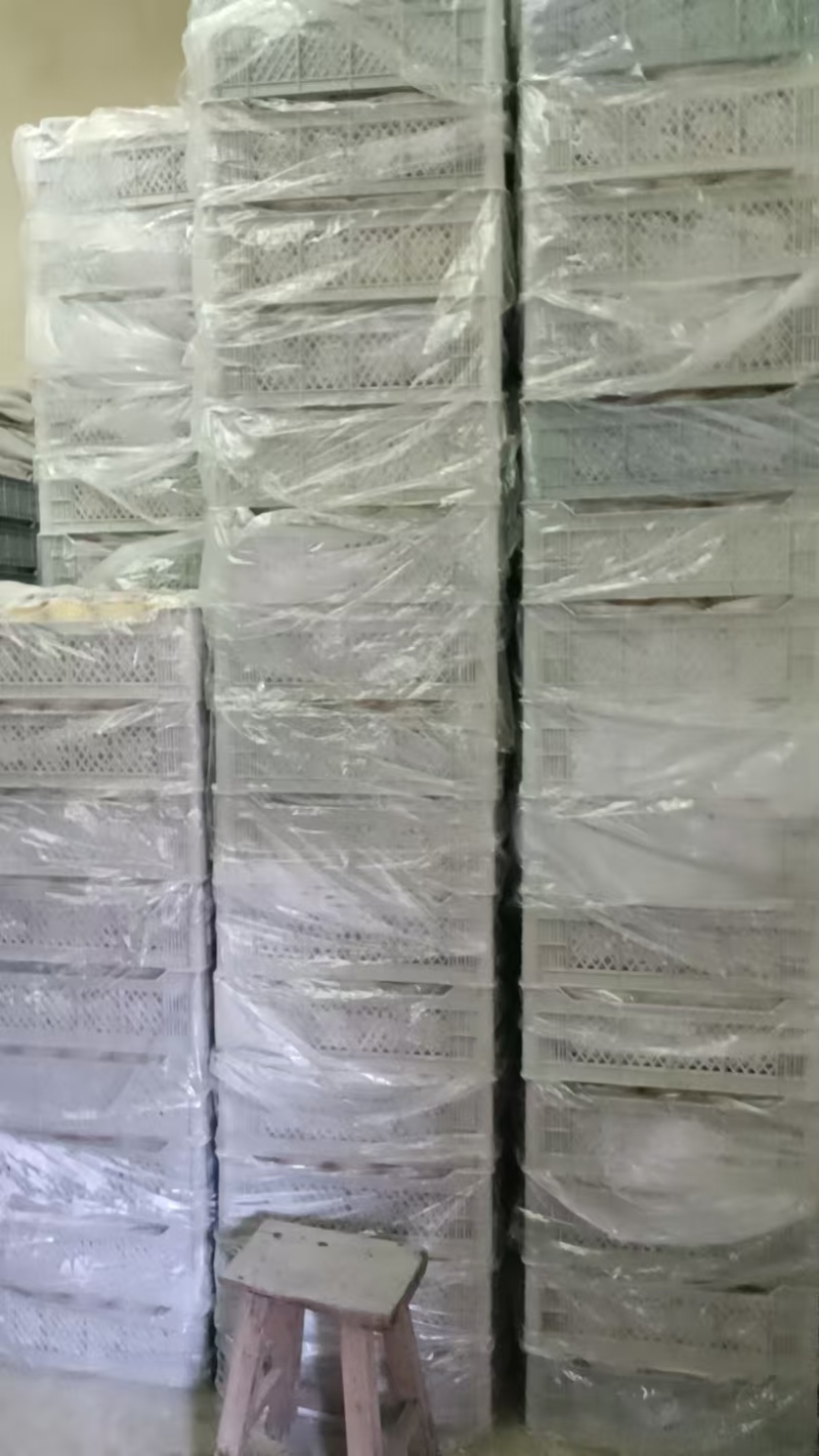 中油潘九大量有货
