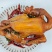 麻椒鸡，两年老母鸡，配花生，黄豆