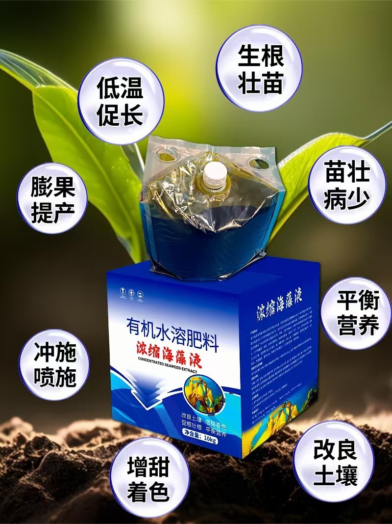 浓缩海藻液20斤壮苗促花果壮根促肥增产膨果抗低温