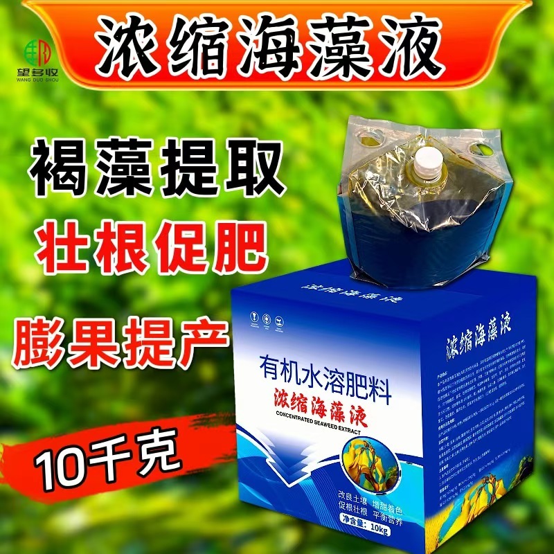 浓缩海藻液20斤壮苗促花果壮根促肥增产膨果抗低温