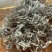 精品手选秦岭老根绵茵陈当养生茶用的