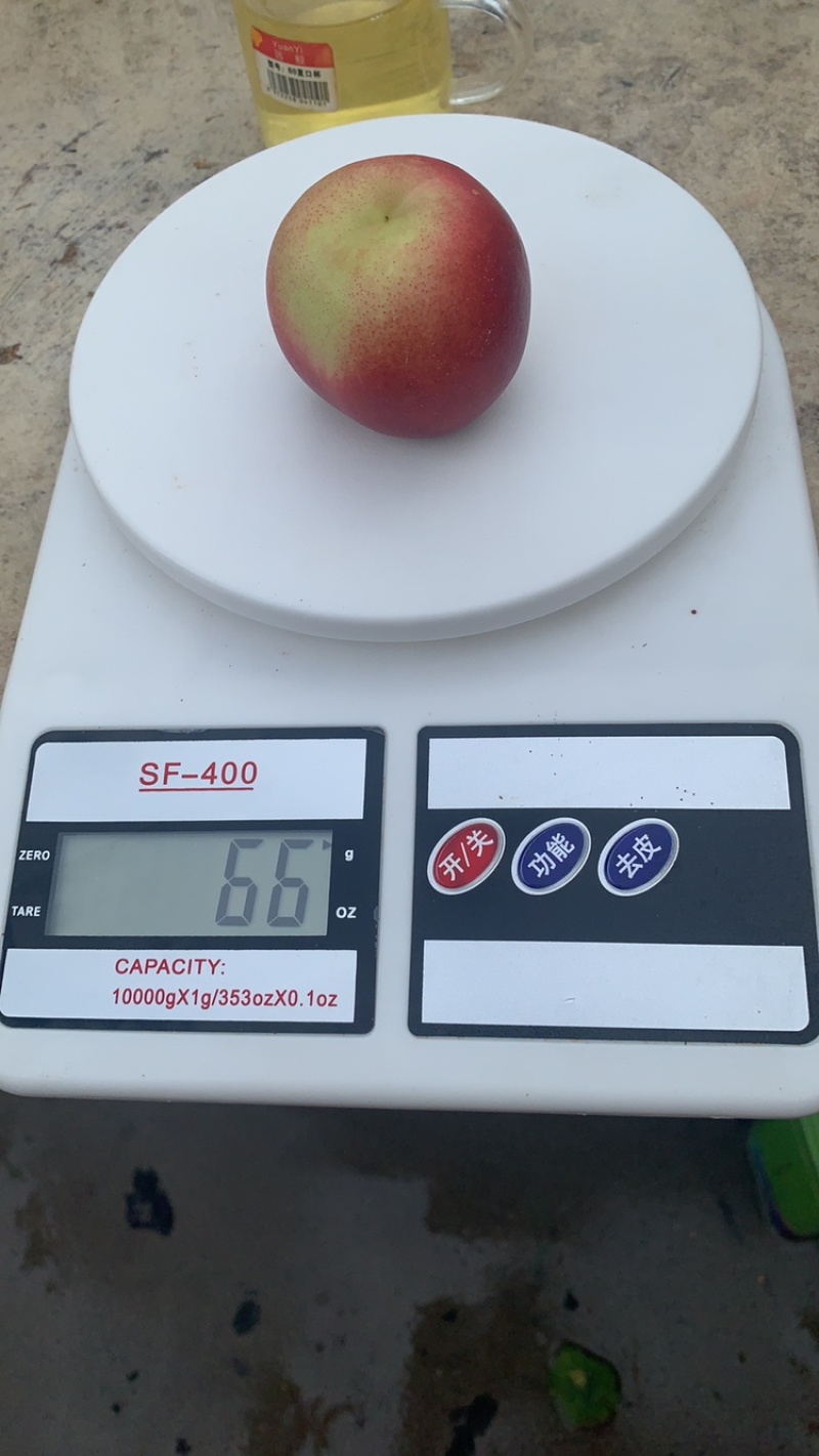 珍珠枣油桃