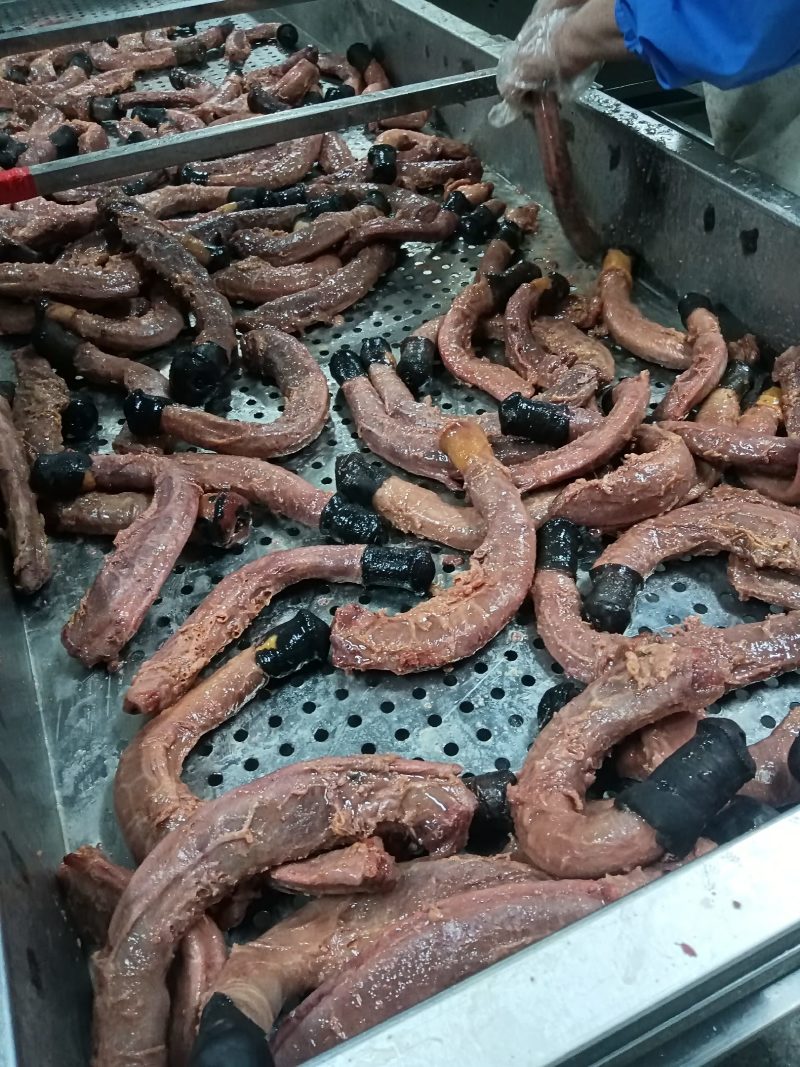 滋补熟鞭，单鞭全鞭都有货，厂家现货