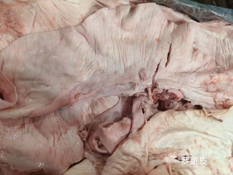 罗肌皮烧烤炖煮