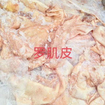 罗肌皮烧烤炖煮
