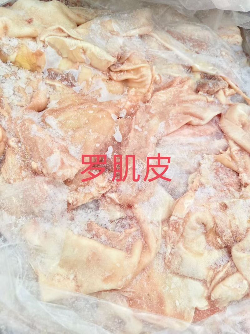 罗肌皮烧烤炖煮