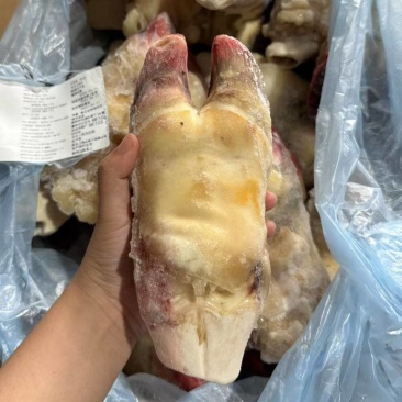 去壳牛前蹄