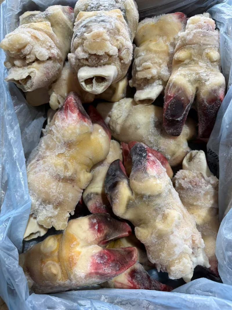 去壳牛前蹄