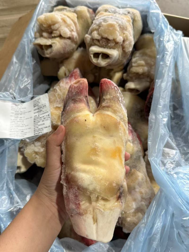 去壳牛前蹄