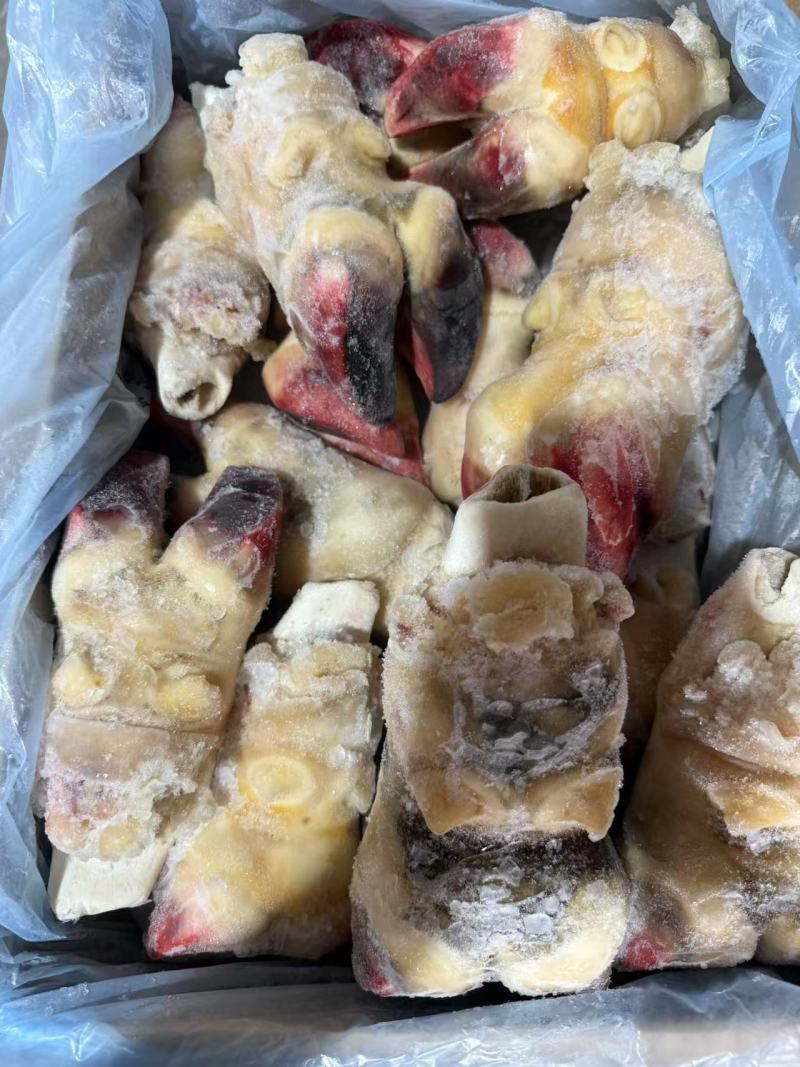 去壳牛前蹄