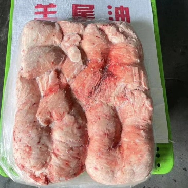内蒙羊尾油