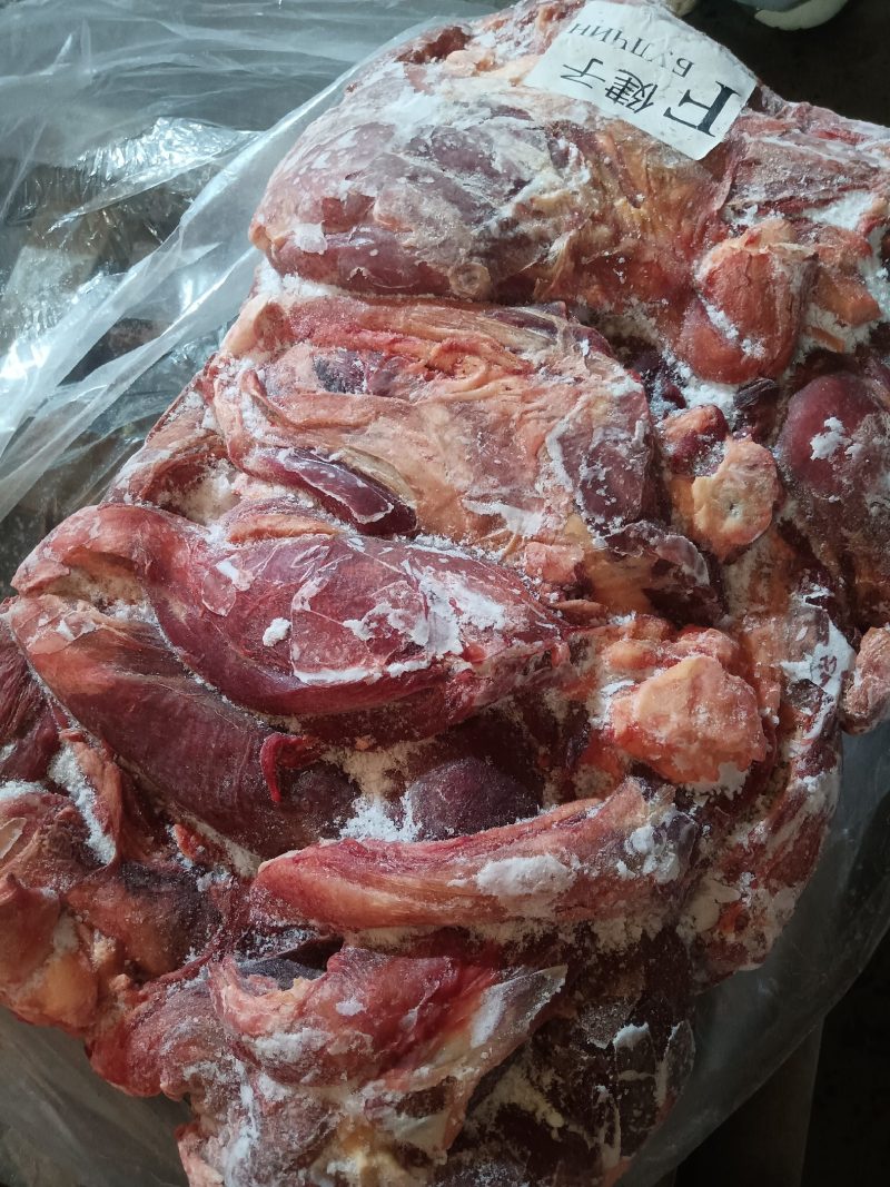 精品四分体马肉，五分体马肉，保证活马吊质优价低，手续齐全
