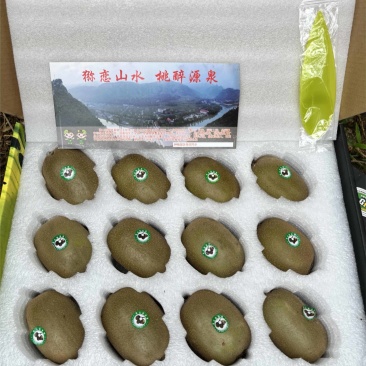 山东博山碧玉猕猴桃，专业承接全国，电商，一件代发