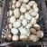微山湖散养红心鸭蛋