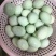 微山湖散养红心鸭蛋