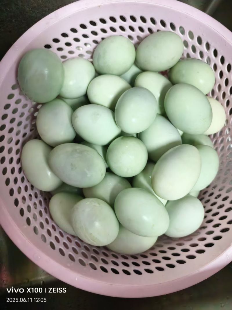 微山湖散养红心鸭蛋