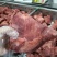 精品风味卤猪肉，厂家常年批发，一斤也是批发价格，支持试货