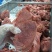 精品风味卤猪肉，厂家常年批发，一斤也是批发价格，支持试货