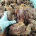 【熟马肉】老汤五香马腱子，纯腱子