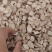 白芍无硫白芍