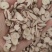 白芍无硫白芍