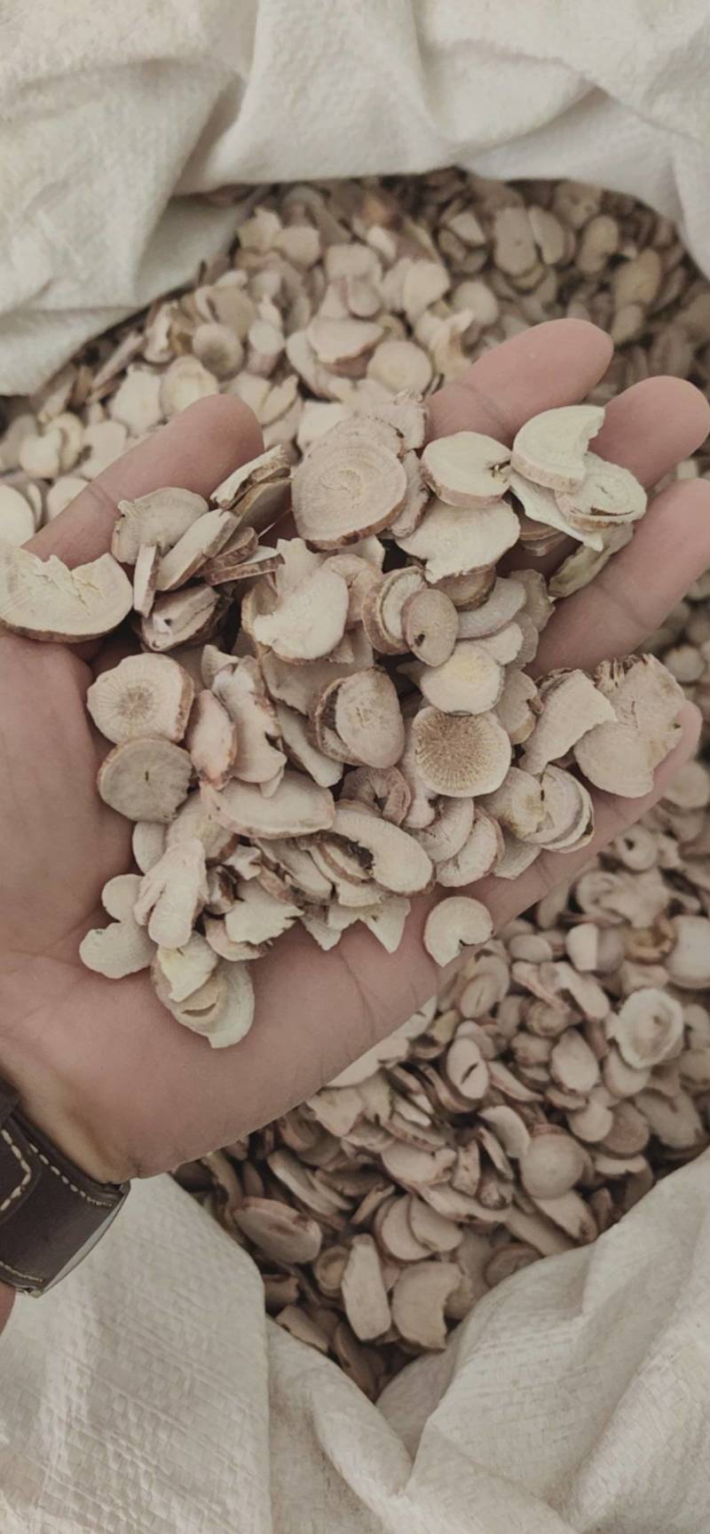 白芍无硫白芍