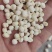 平贝东北平贝，0.6小豆贝