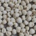 平贝东北平贝，0.6小豆贝