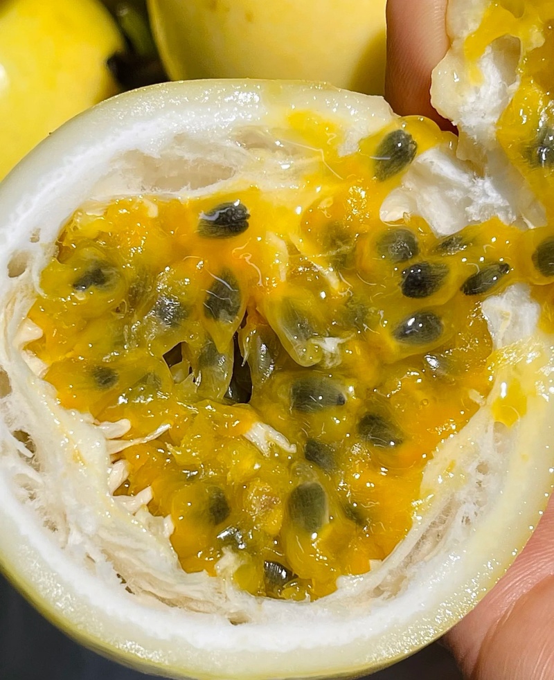 龙岩黄金百香果