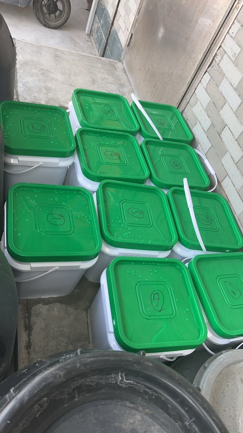十路猪肠衣灌腊肠红肠米肠血肠肠衣