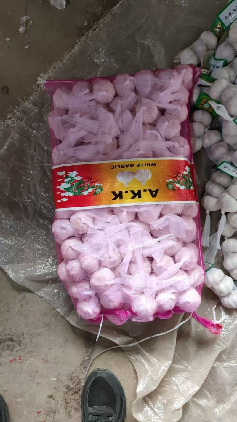 大蒜金乡大蒜/普白蒜/白皮大蒜/供出口/市场电商