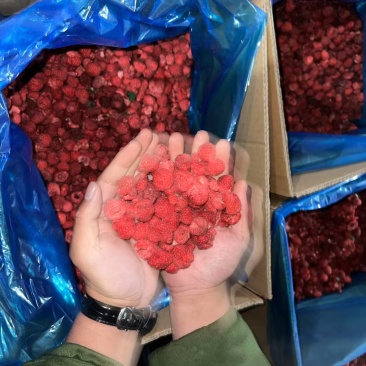 【红树莓】黑龙江森工集团亚布力林业局新鲜红树莓速冻果