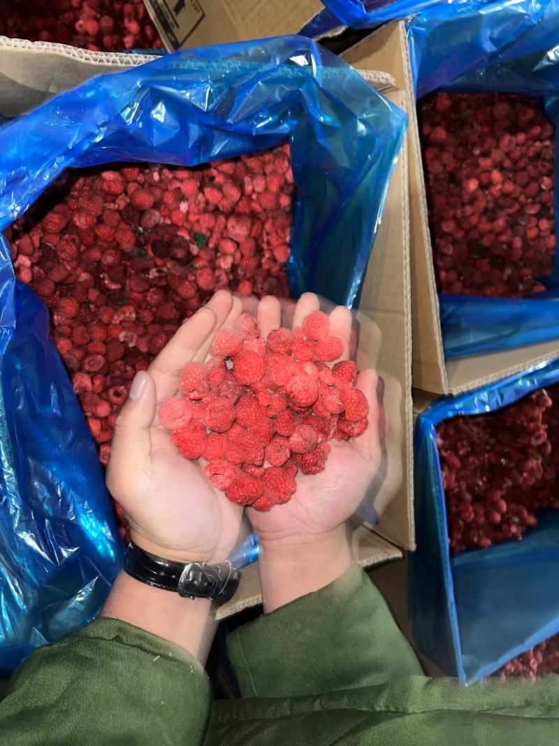 【红树莓】黑龙江森工集团亚布力林业局新鲜红树莓速冻果
