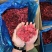 【红树莓】黑龙江森工集团亚布力林业局新鲜红树莓速冻果