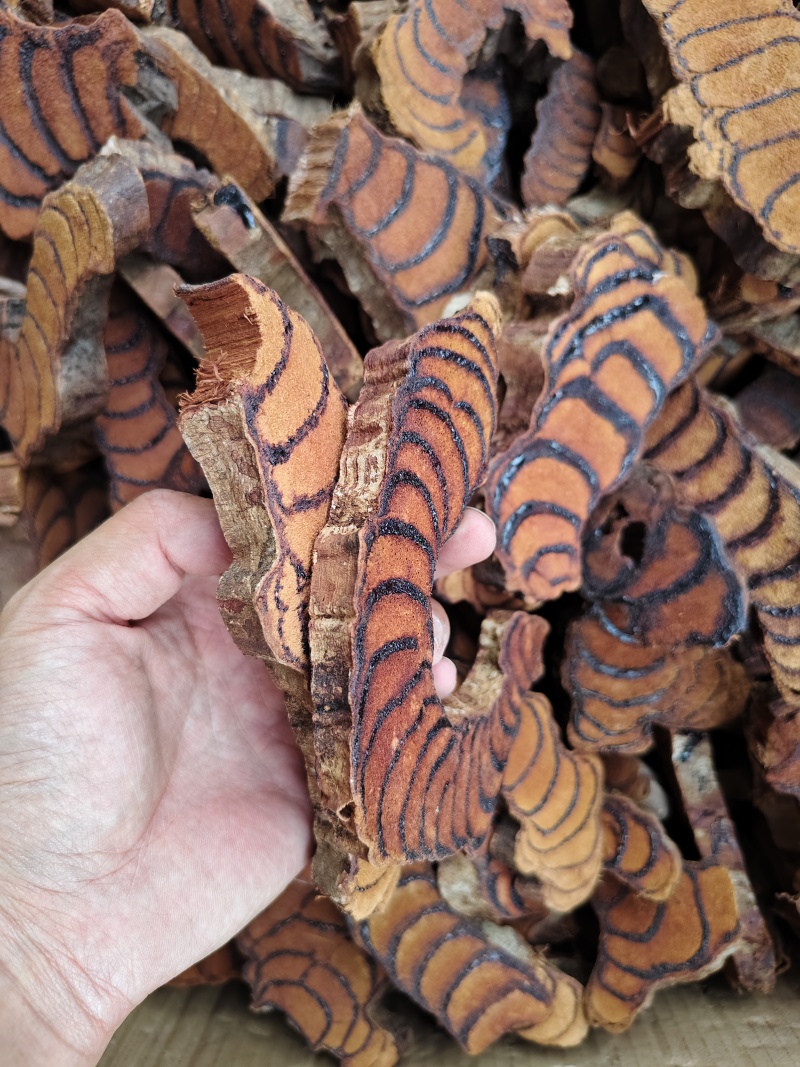 鸡血藤各种规格批发零售量大优惠