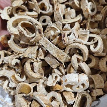 桑白皮规格齐全批发零售量大优惠