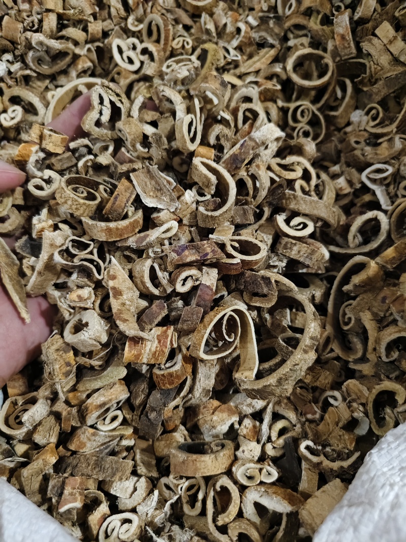 桑白皮规格齐全批发零售量大优惠