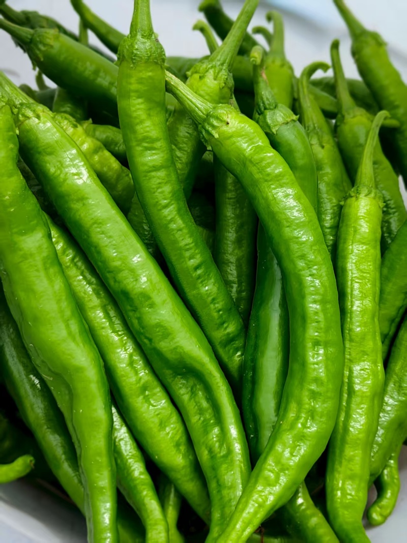 湘研55，陆地，露天种植，尾气食堂货