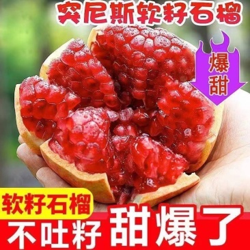 突尼斯软籽石榴对接抖音快手多多电商一件代发日发3万单