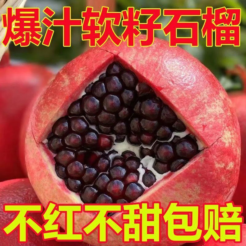 突尼斯软籽石榴对接抖音快手多多电商一件代发日发3万单