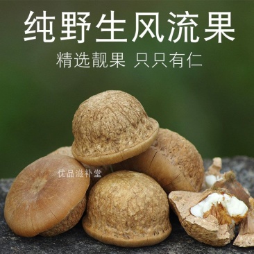 广西野生风流果新货干石头果新鲜精选益肾子泡酒料食材双肾阴阳子
