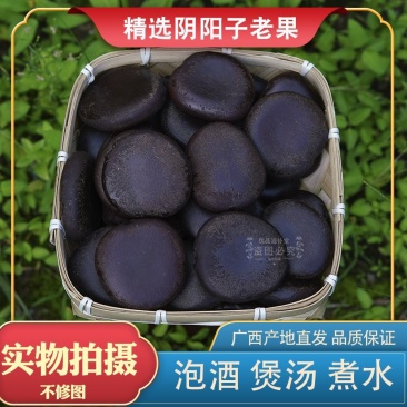 广西野生榼藤子果阴阳子过江龙子袋装泡茶泡酒料木腰子***盘玩