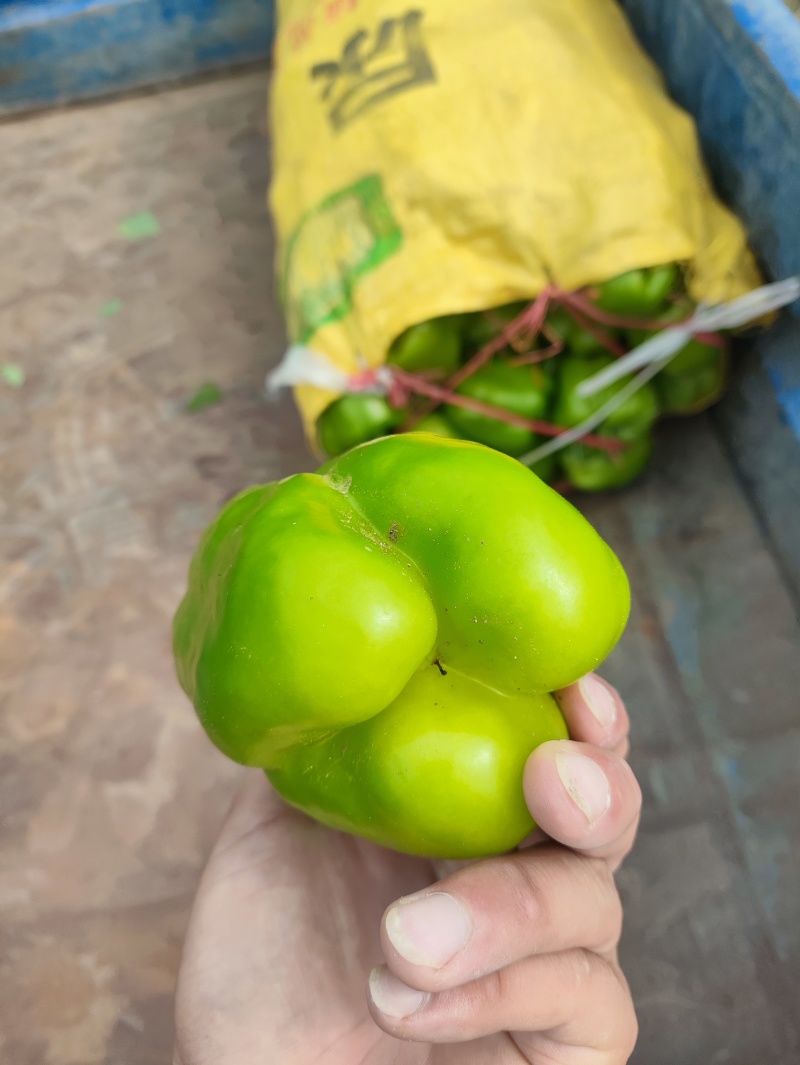 精品黄皮园椒