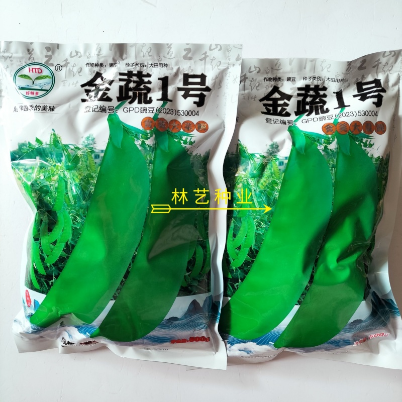 金蔬1号食荚大菜豌种子抗病高产软荚豌豆角荷兰豆农家菜园