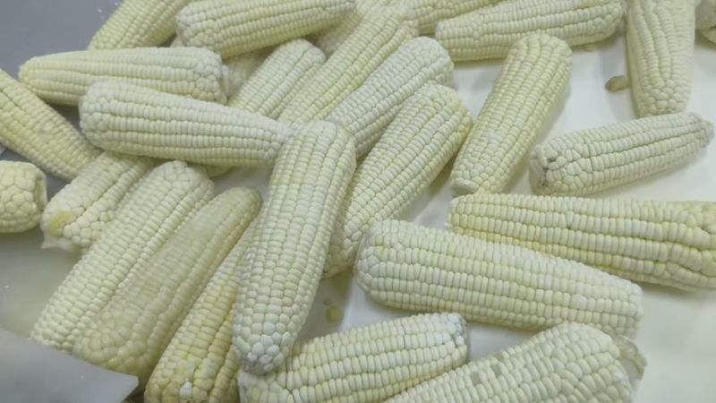 精品速冻糯玉米，高端市场