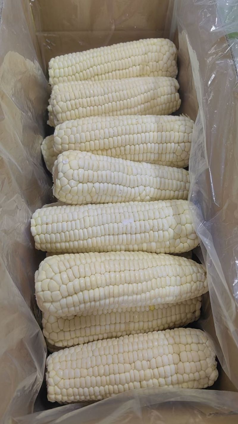 精品速冻糯玉米，高端市场