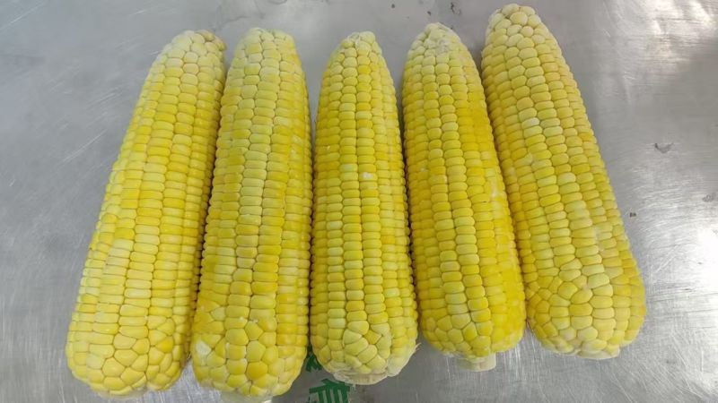 精品速冻糯玉米，高端市场