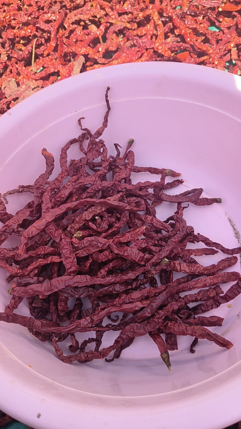干椒