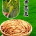 金针黄花菜干货农家新货头茬无硫